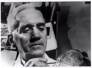 Alexandre Fleming (1881-1955) c.1945